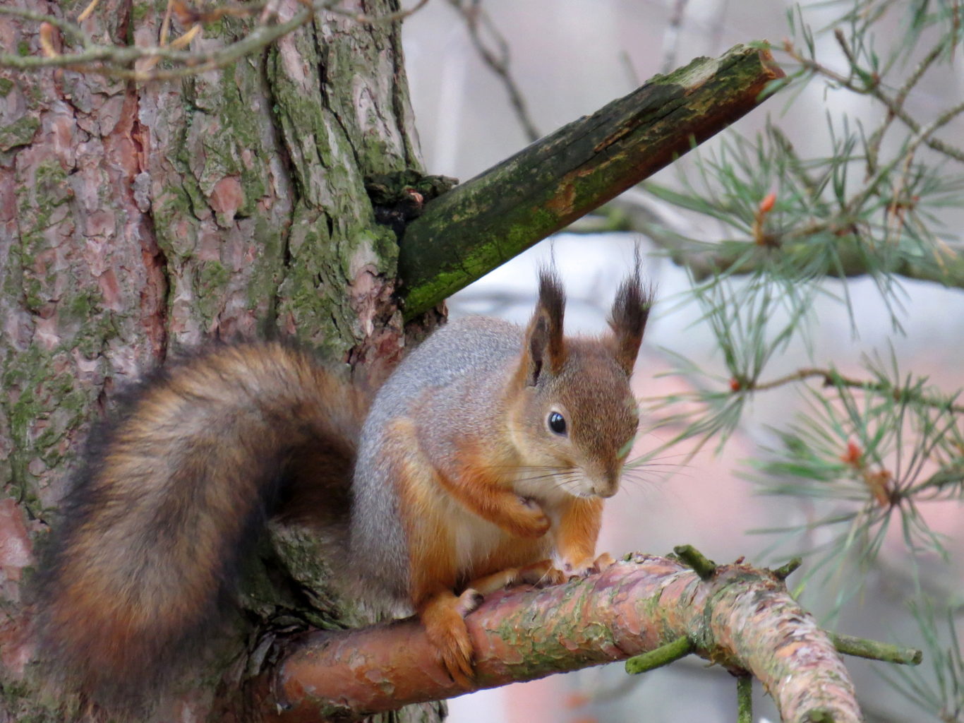 Valokuvaaja: Jaana Talvinen