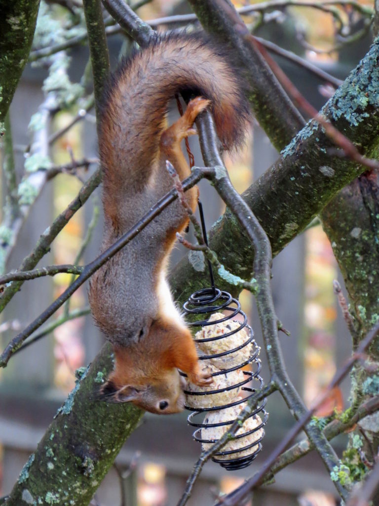 Valokuvaaja: Jaana Talvinen