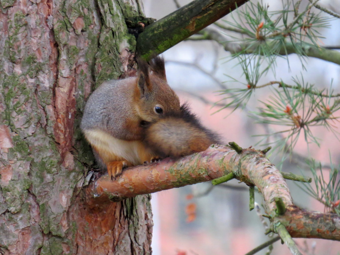 Valokuvaaja: Jaana Talvinen