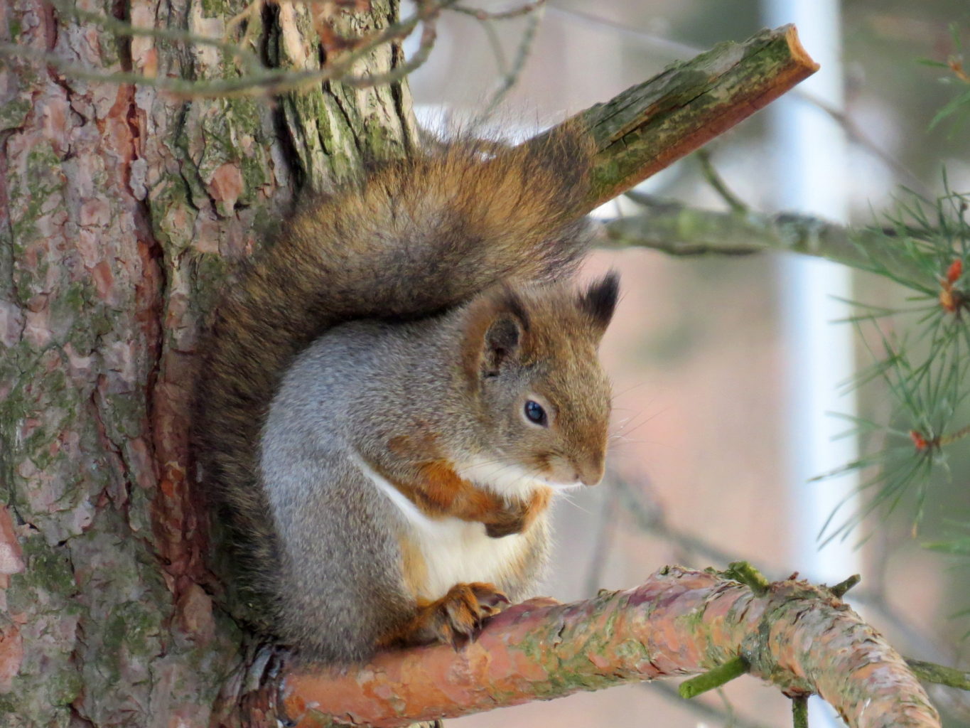 Valokuvaaja: Jaana Talvinen