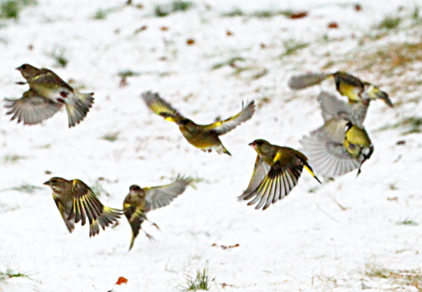 Valokuvaaja: Reijo lehtonen