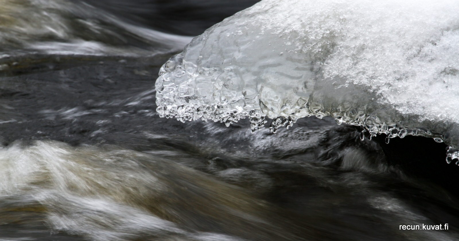 Valokuvaaja: Reijo Reccu Lehtonen