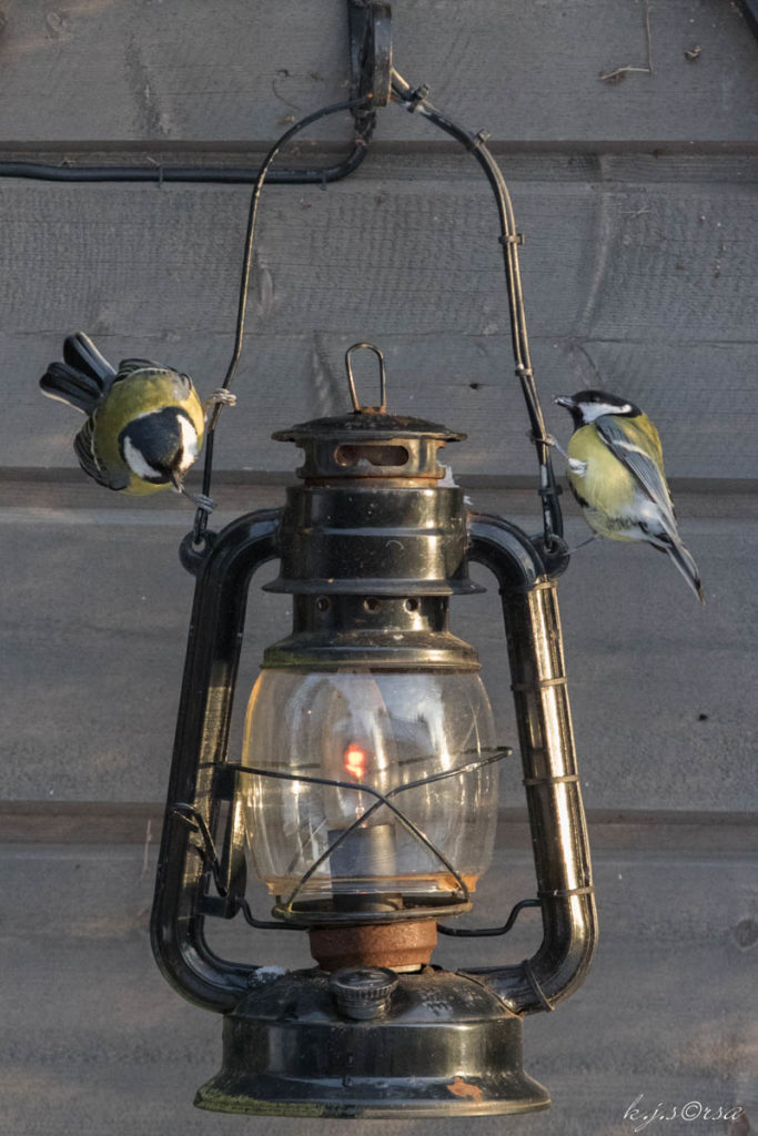 Valokuvaaja: Kyösti Sorsa