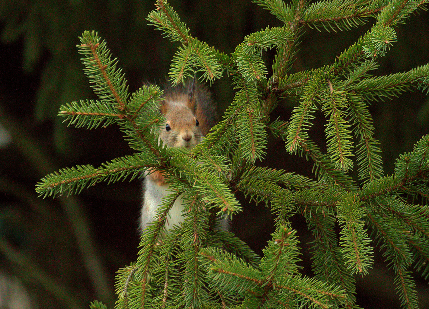 Valokuvaaja: Sirpa Jyske