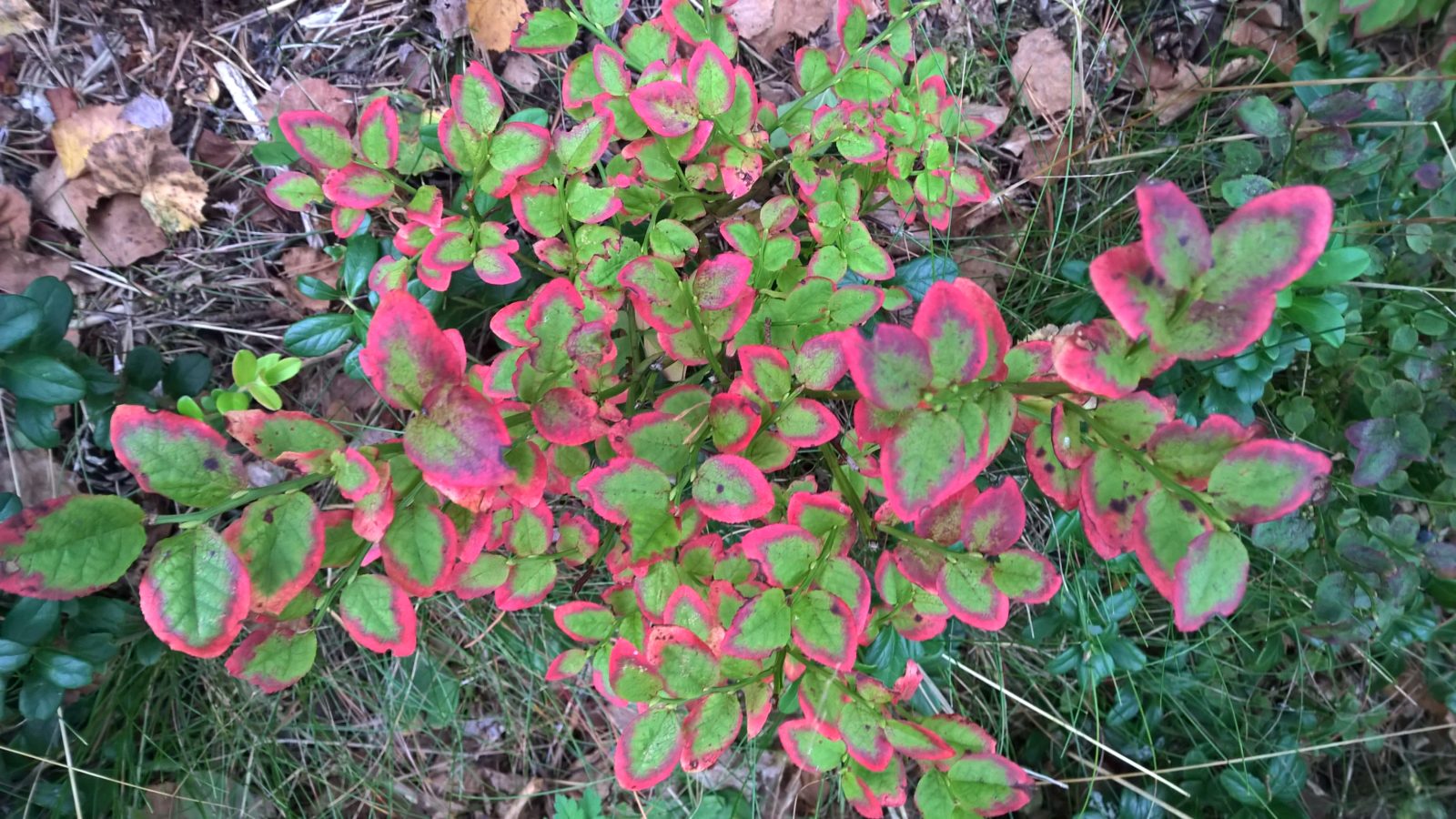 Valokuvaaja: Marja Vasku