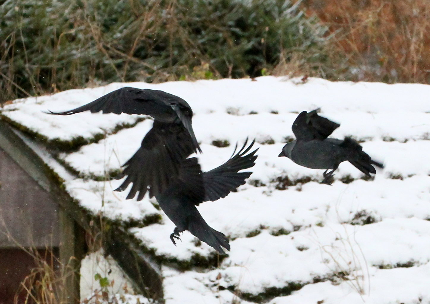 Valokuvaaja: Reijo lehtonen