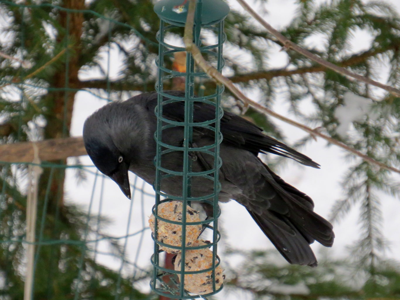 Valokuvaaja: Jaana Talvinen
