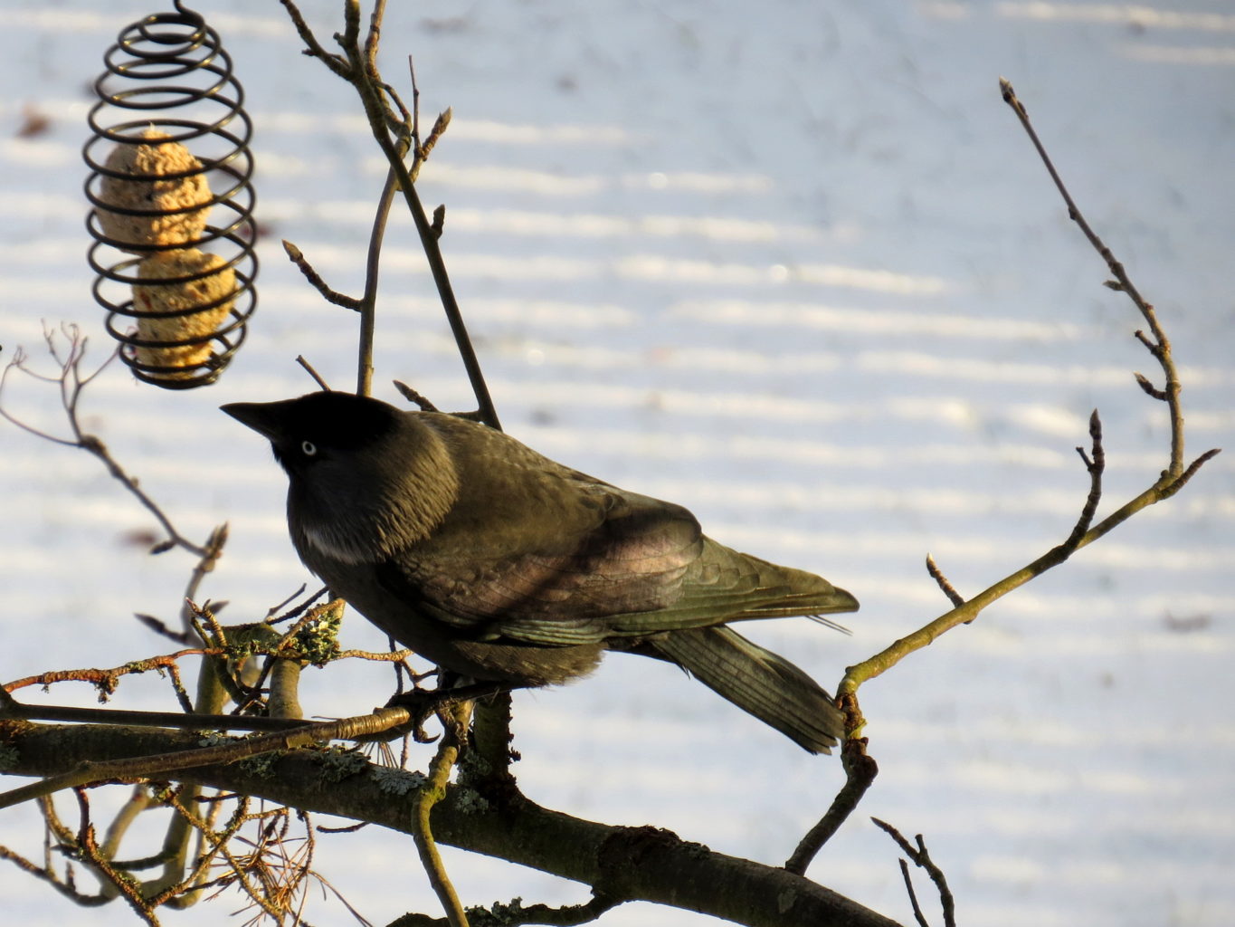 Valokuvaaja: Jaana Talvinen