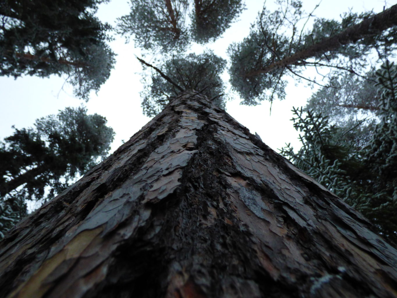 Valokuvaaja: Hannu Rissanen