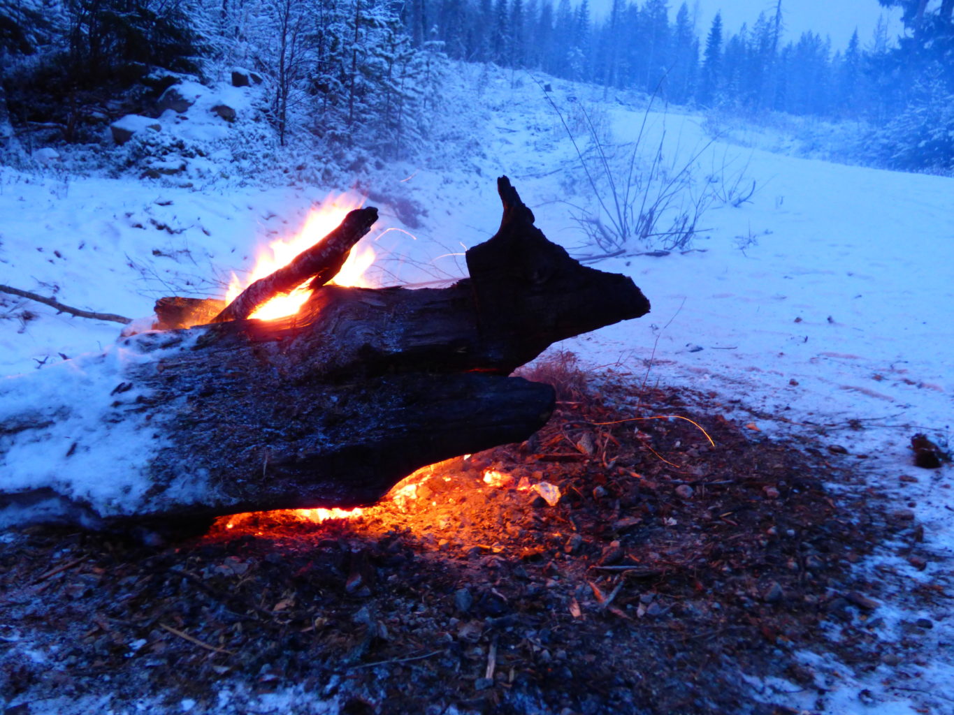 Valokuvaaja: hannu rissanen