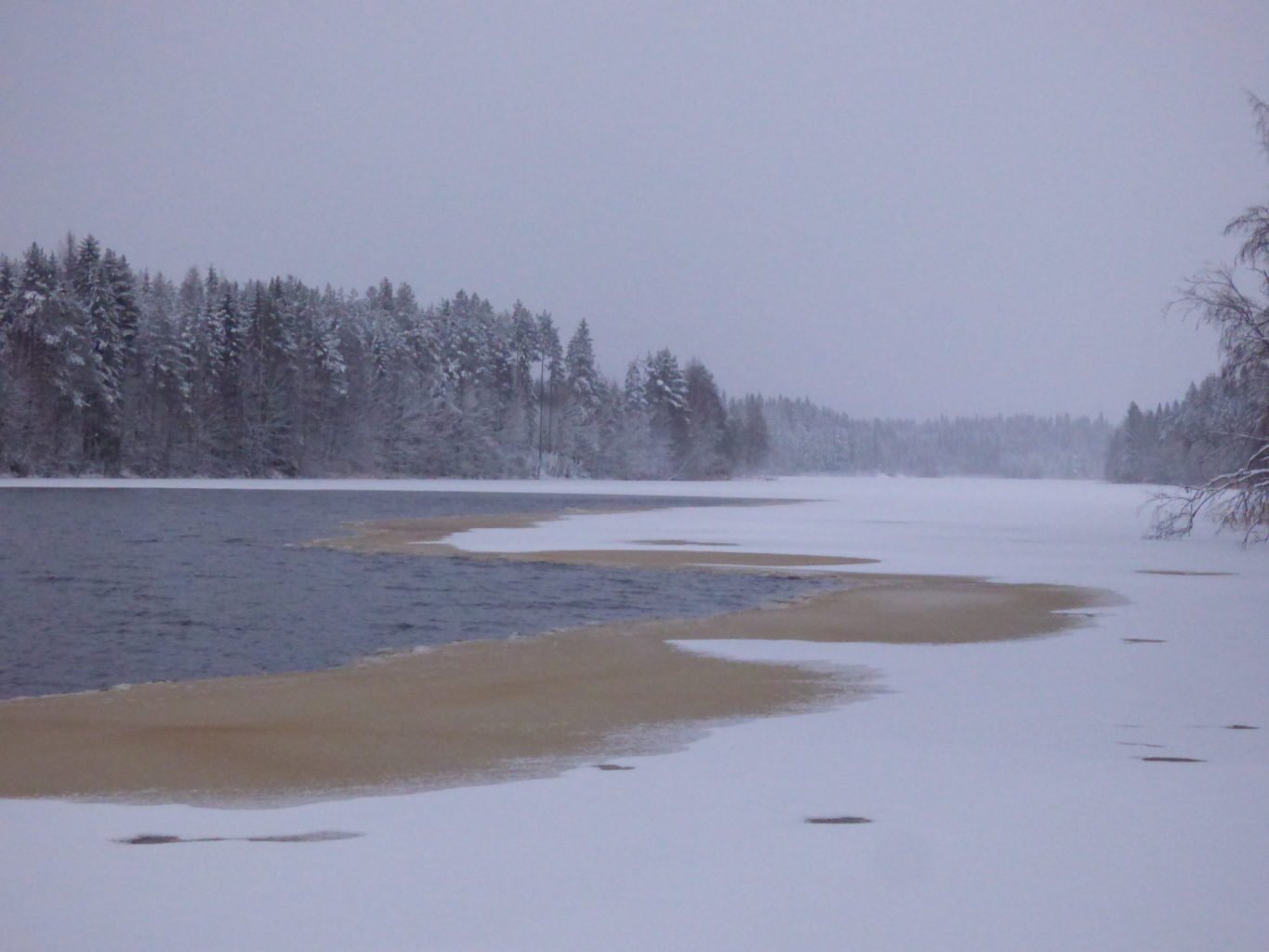 Valokuvaaja: Hannu Rissanen