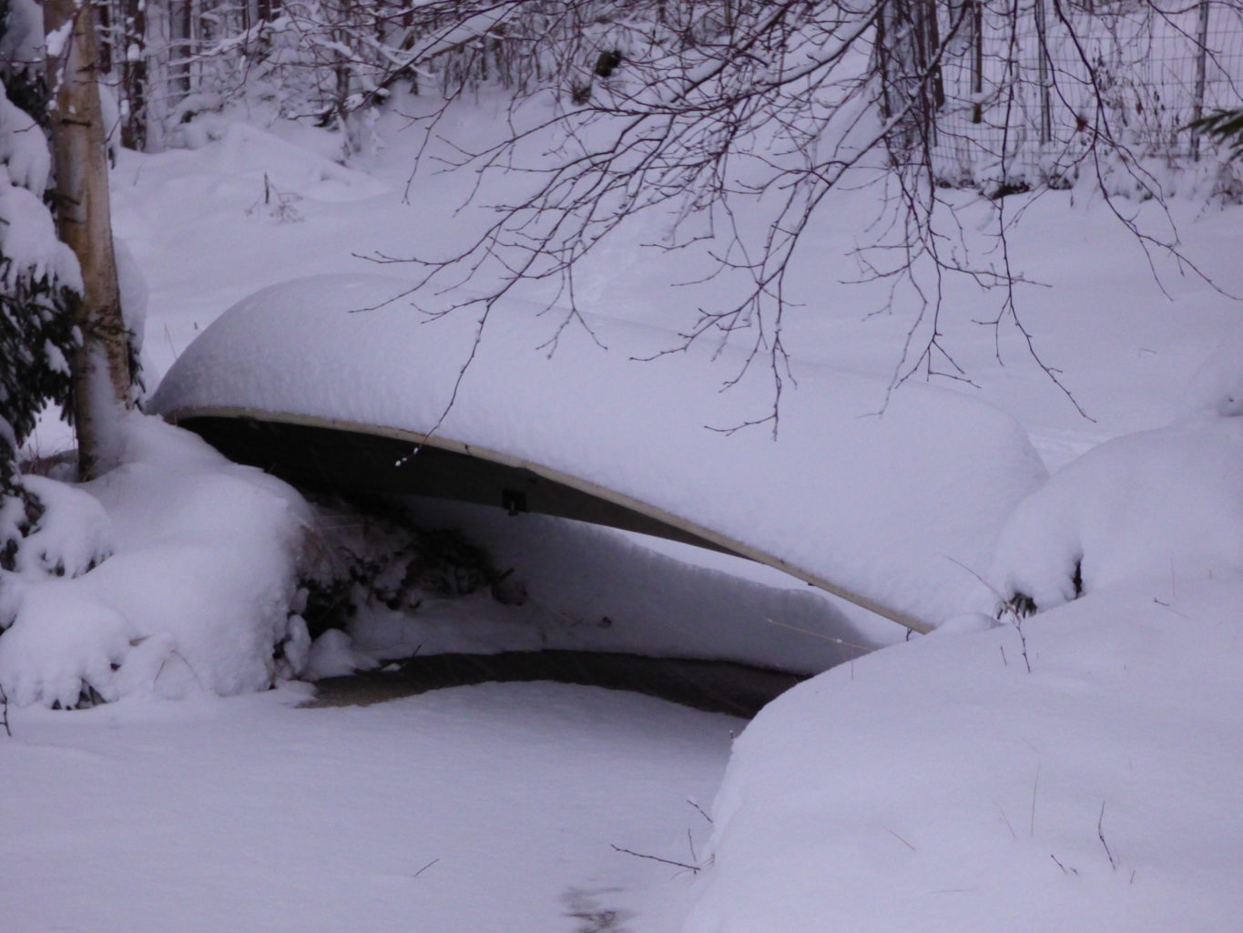 Valokuvaaja: Hannu Rissanen