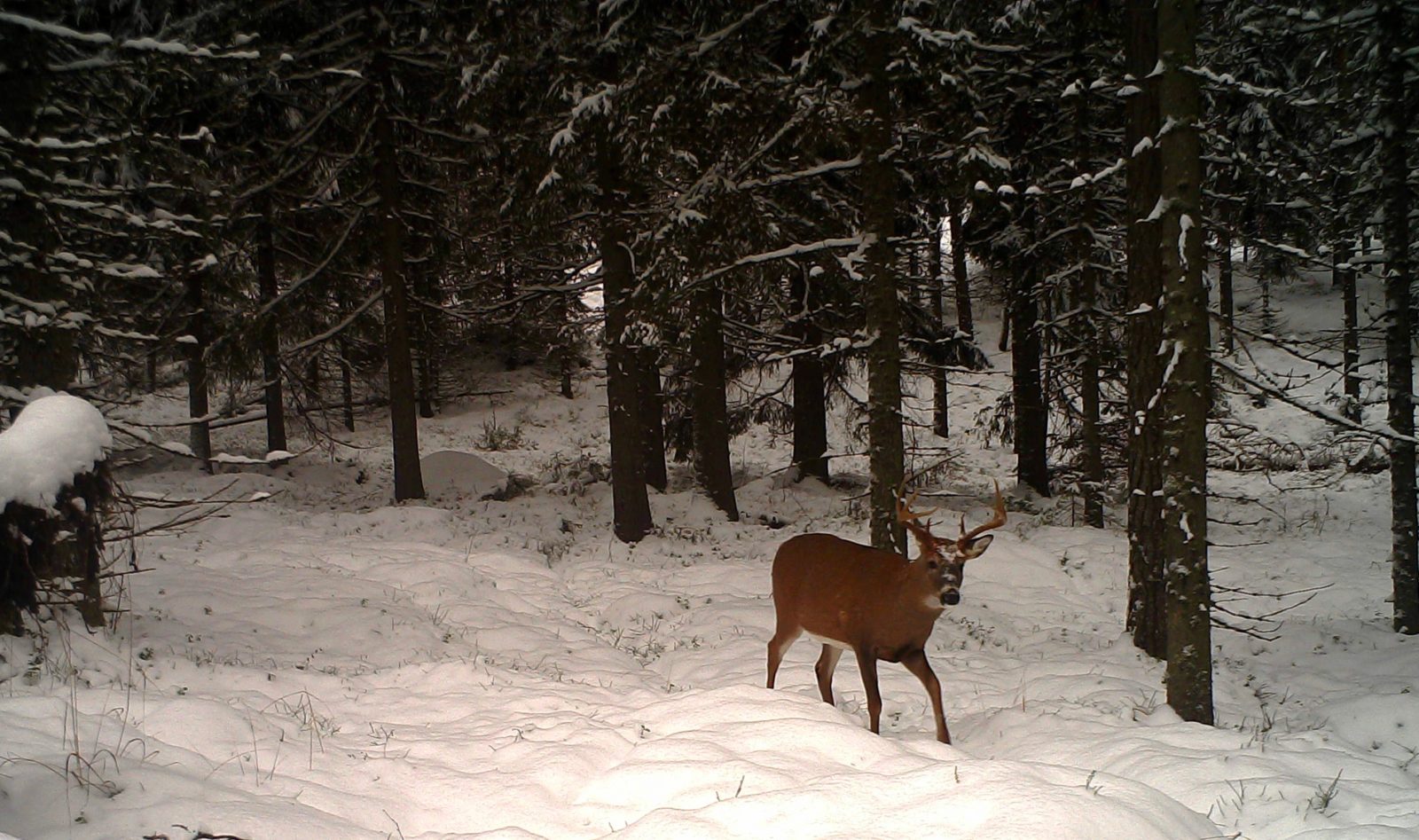 Valokuvaaja: Jenni Merilä