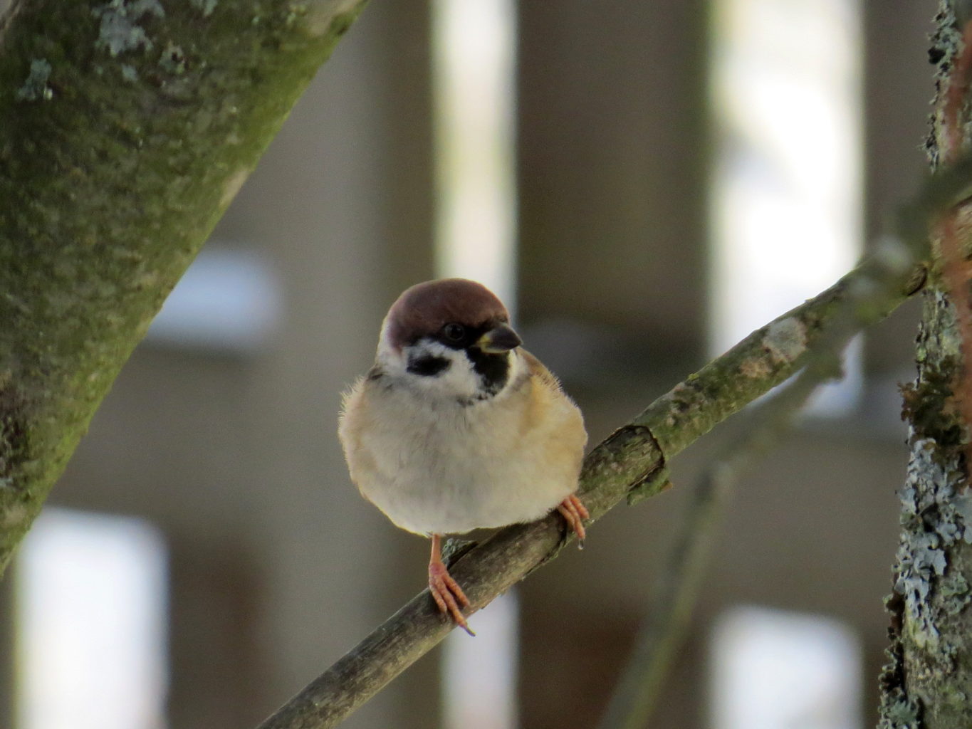 Valokuvaaja: Jaana Talvinen