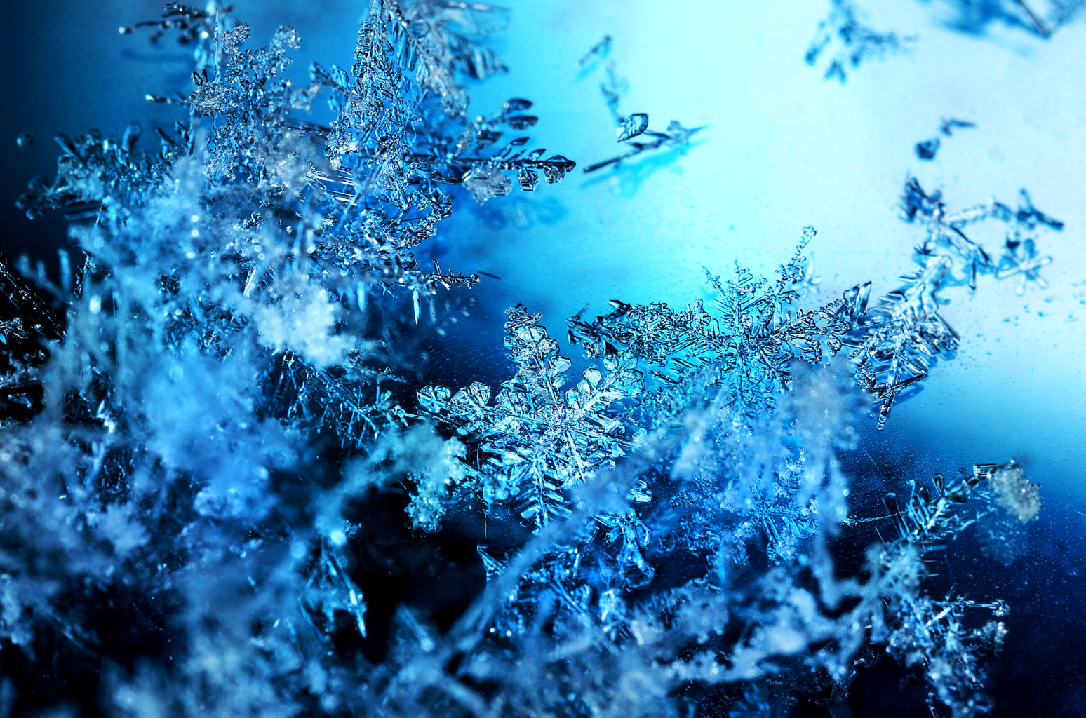 Valokuvaaja: Tarja Porkkala