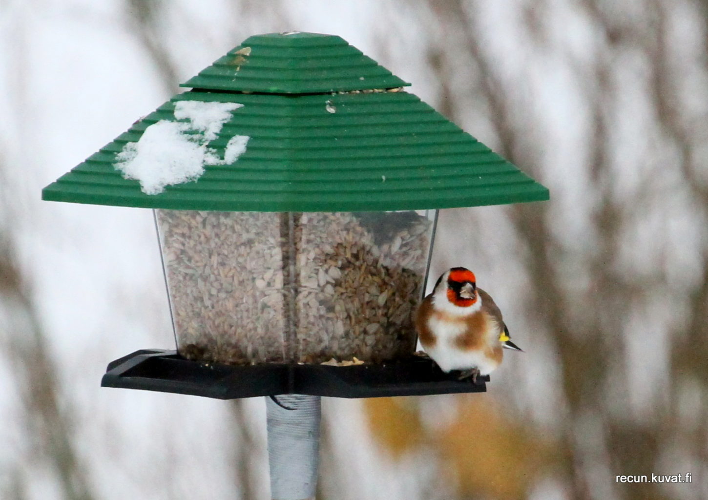 Valokuvaaja: Reijo lehtonen