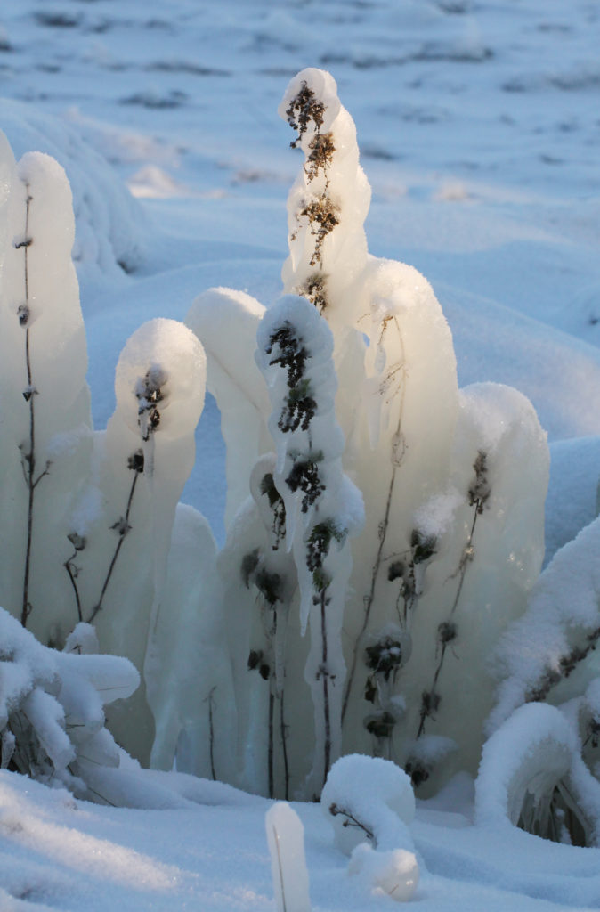 Valokuvaaja: Katri Mäkinen