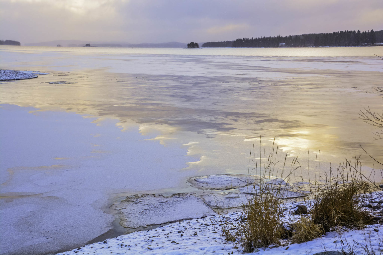 Valokuvaaja: MAIJA SAVOLAINEN