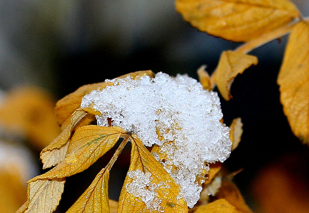 Valokuvaaja: Reijo lehtonen