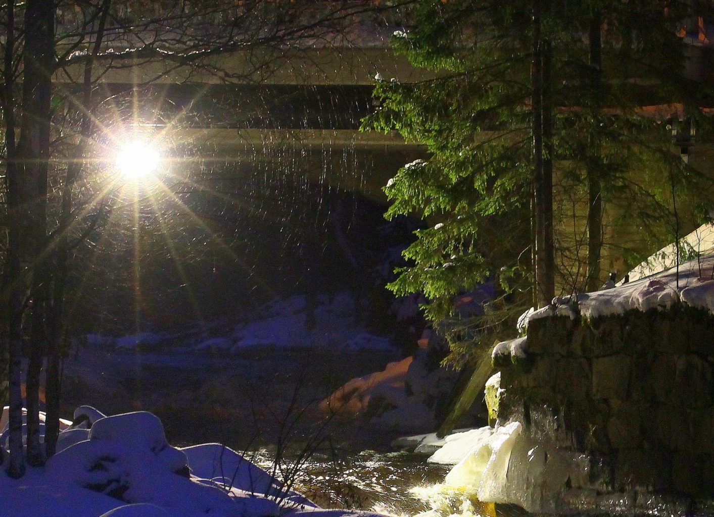 Valokuvaaja: Reijo lehtonen Valokuvaaja: Reijo lehtonen