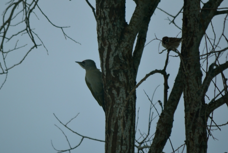 Valokuvaaja: Katja Toivanen Valokuvaaja: Katja Toivanen