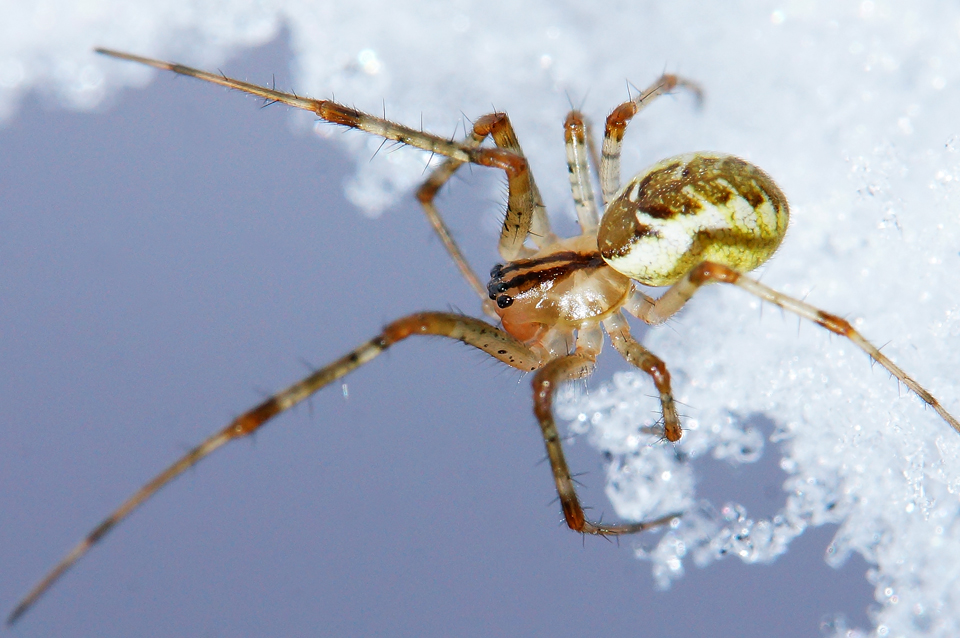 Valokuvaaja: Juhani Harkas