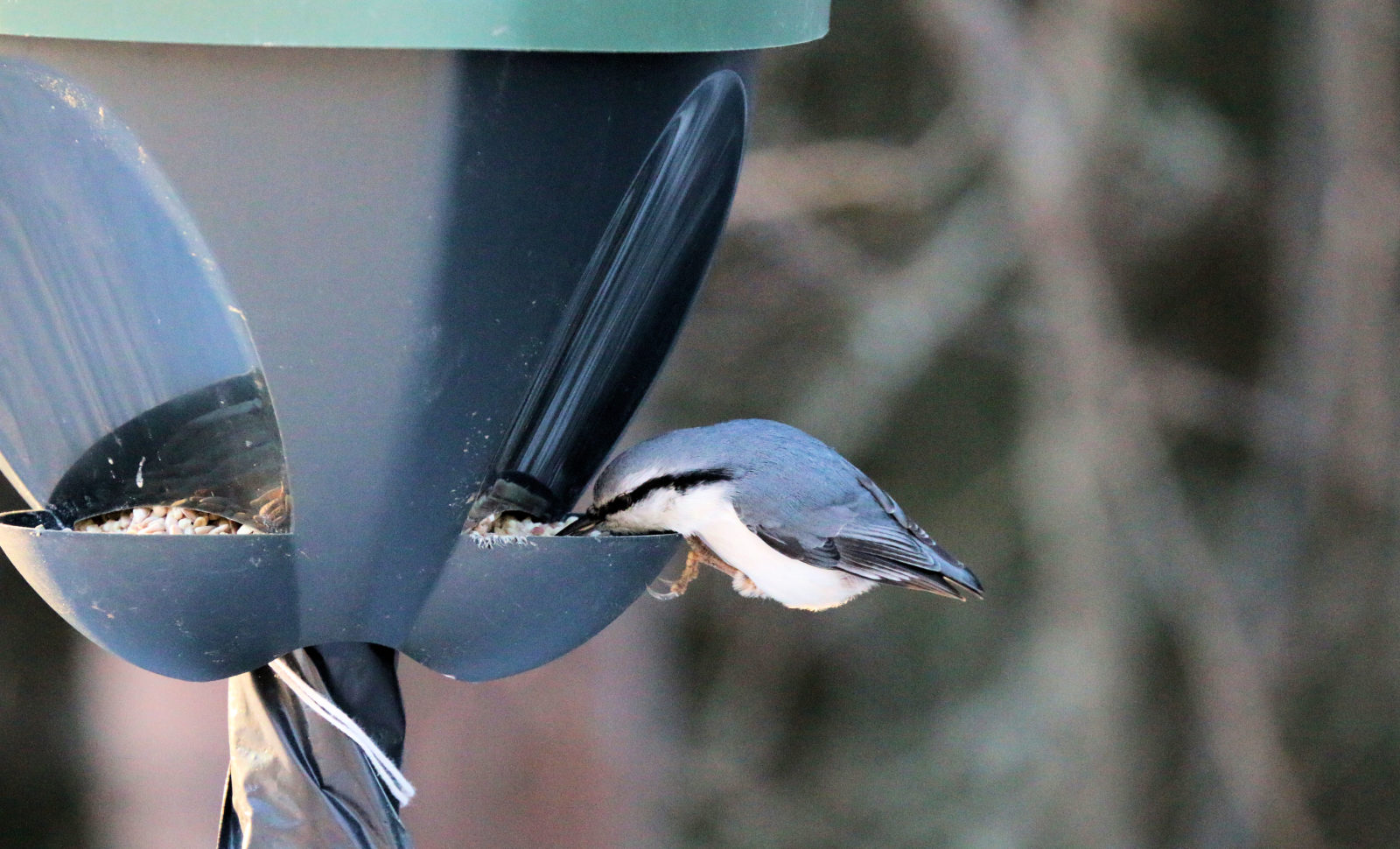 Valokuvaaja: Ahti Keränen