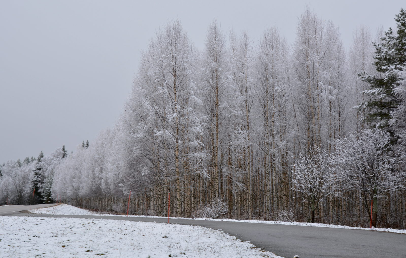 Valokuvaaja: MAIJA SAVOLAINEN Valokuvaaja: MAIJA SAVOLAINEN