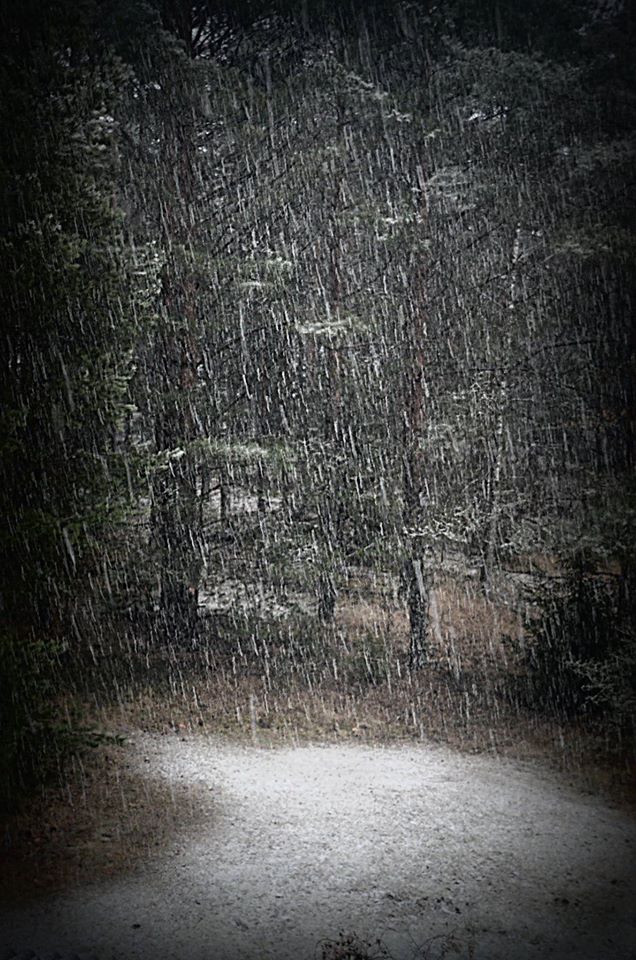 Valokuvaaja: Eija Varjola Valokuvaaja: Eija Varjola