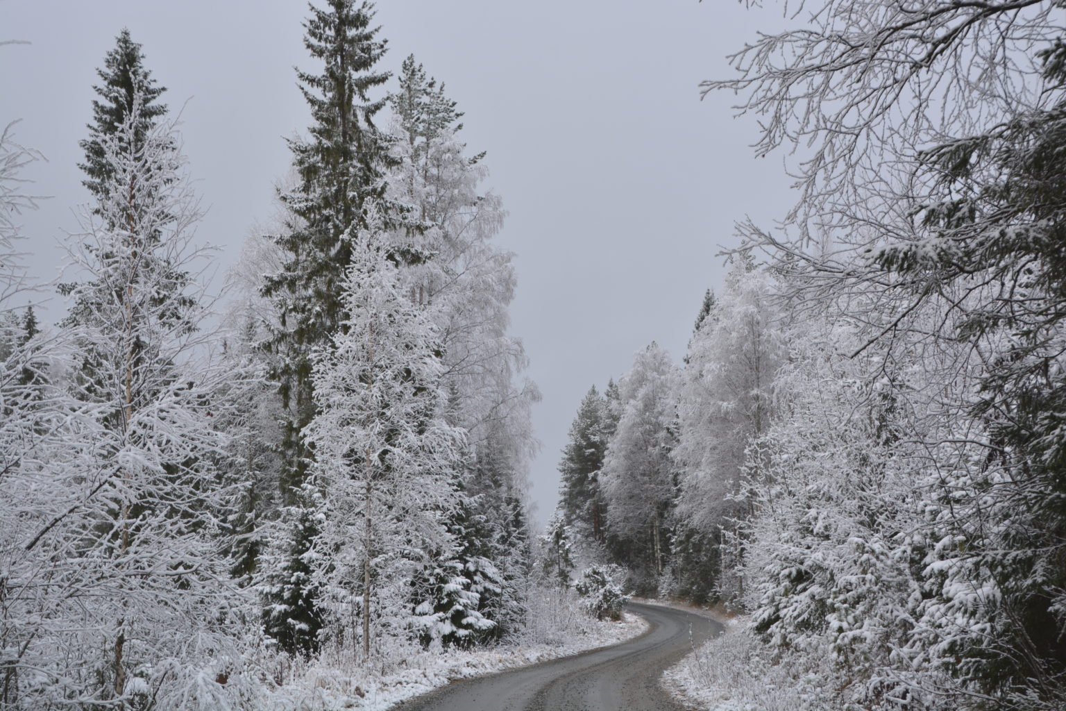 Valokuvaaja: MAIJA SAVOLAINEN