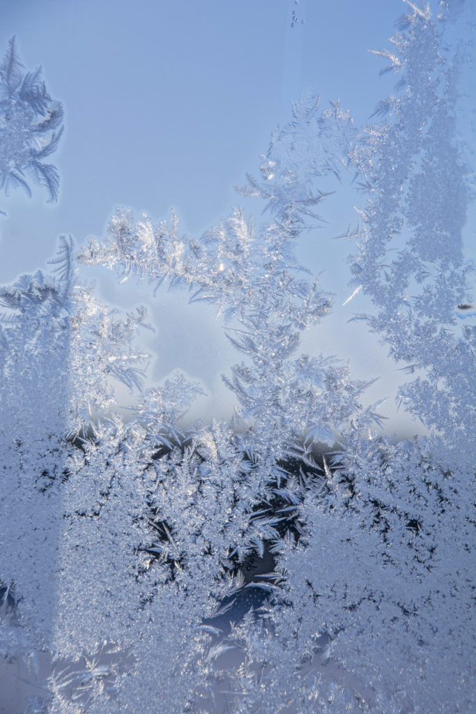 Valokuvaaja: MAIJA SAVOLAINEN