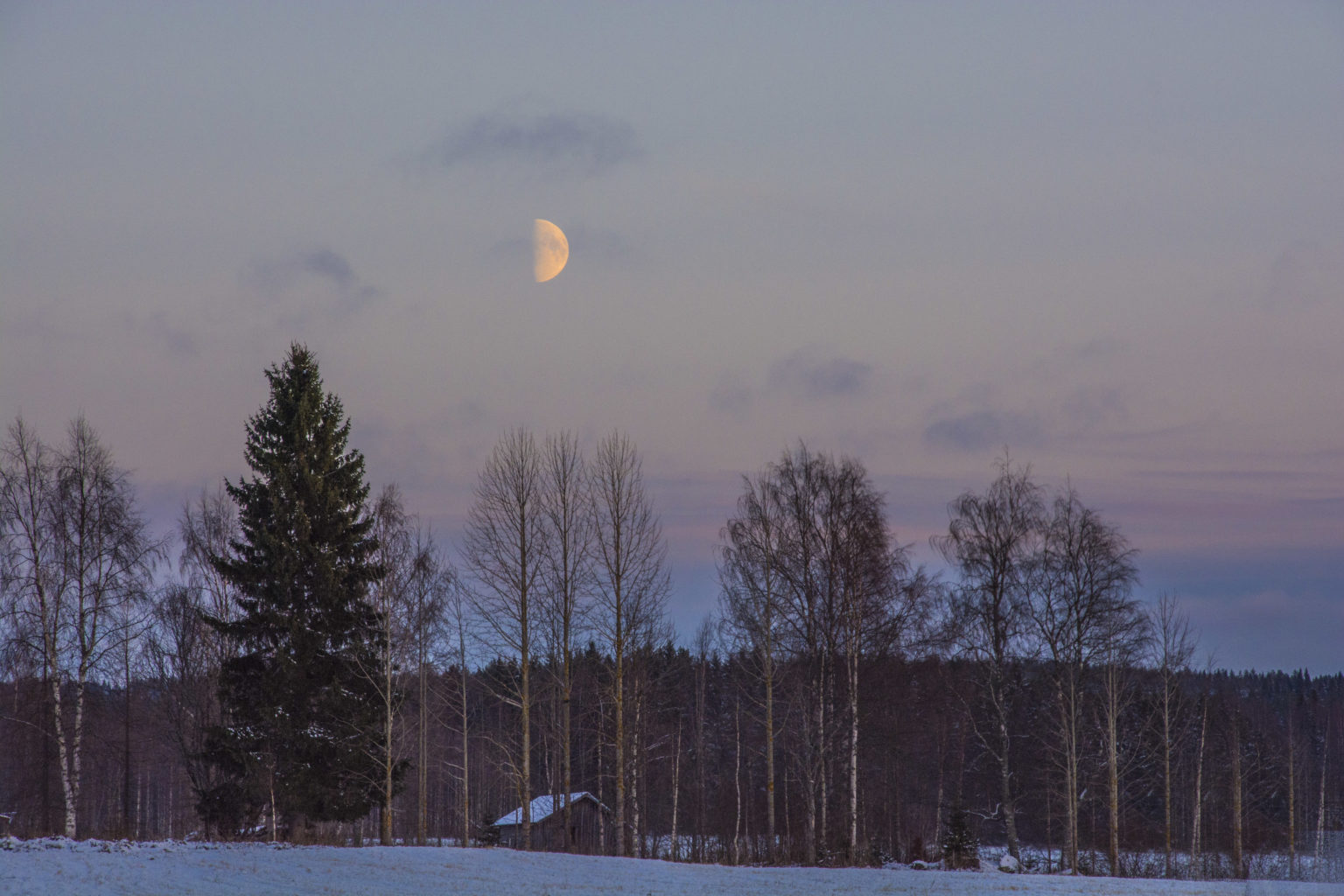 Valokuvaaja: MAIJA SAVOLAINEN