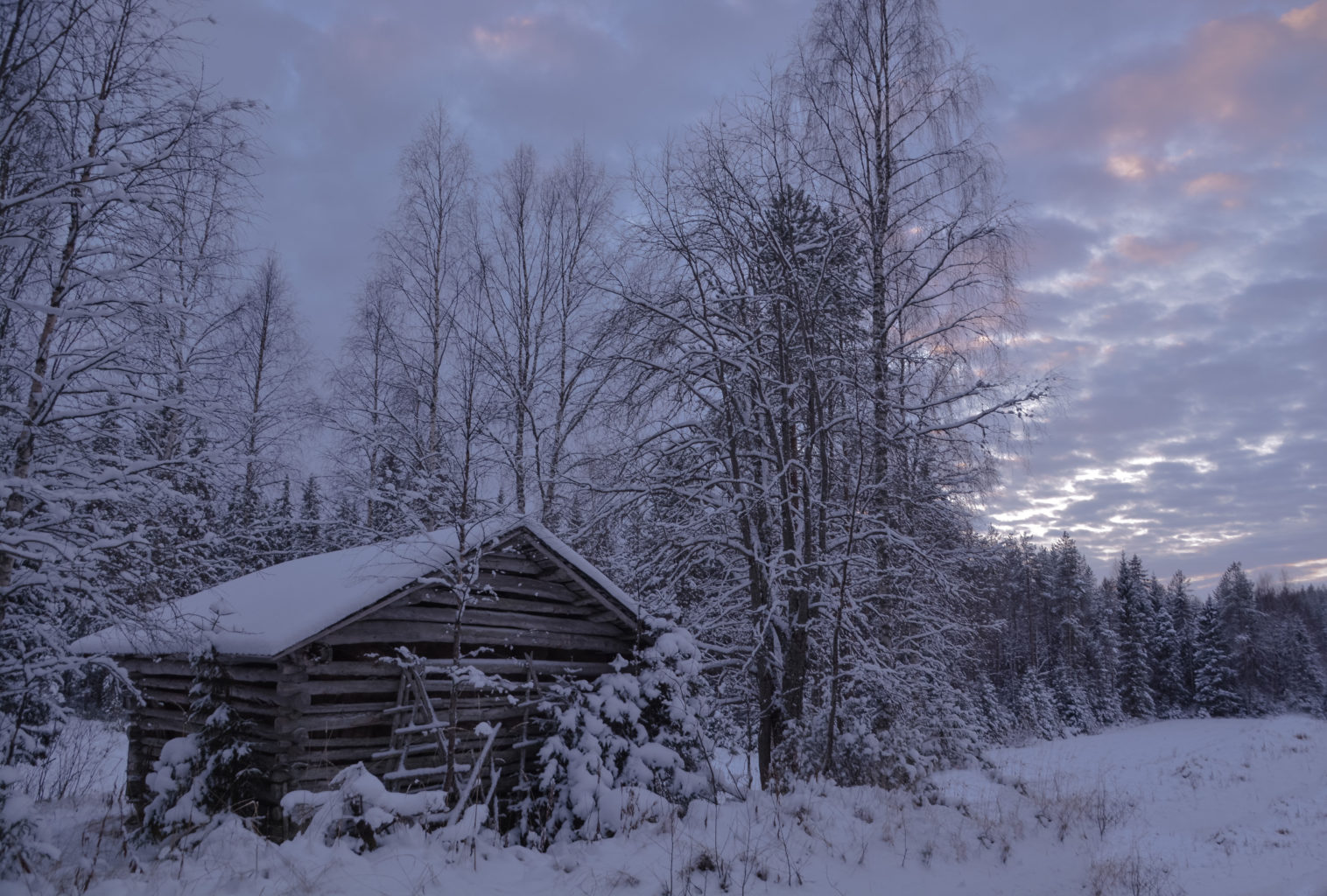 Valokuvaaja: MAIJA SAVOLAINEN