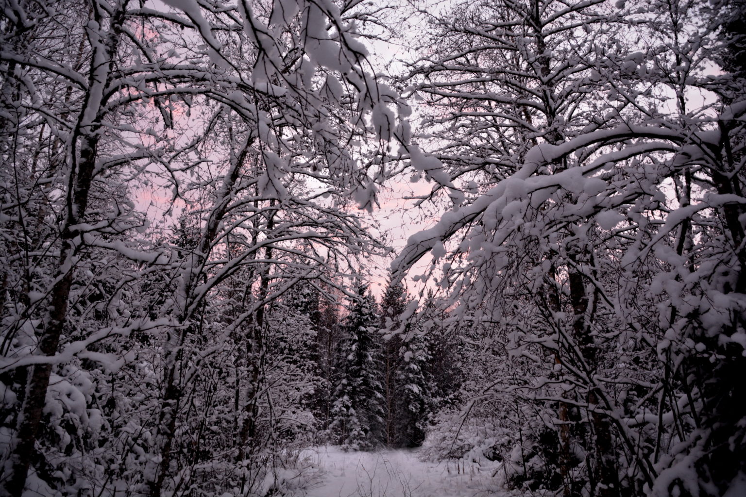 Valokuvaaja: MAIJA SAVOLAINEN