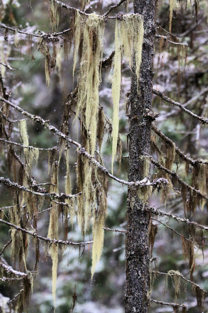 Valokuvaaja: Ahti Keränen