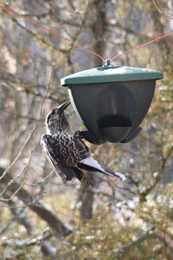 Valokuvaaja: Tuija Lahti