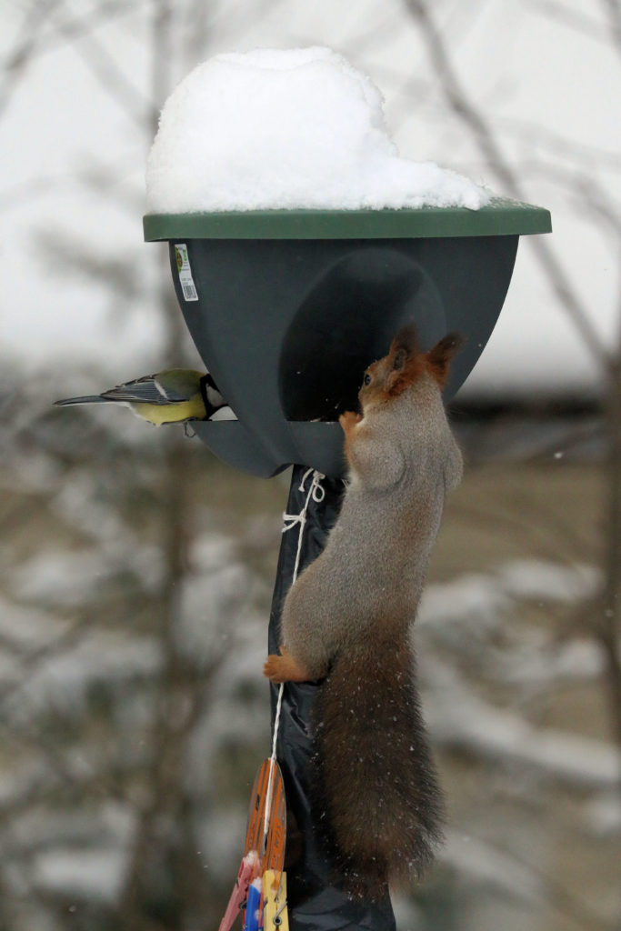 Valokuvaaja: Ahti Keränen