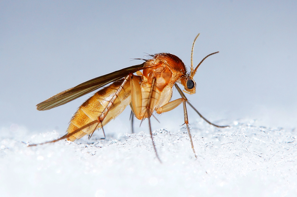 Valokuvaaja: Juhani Harkas