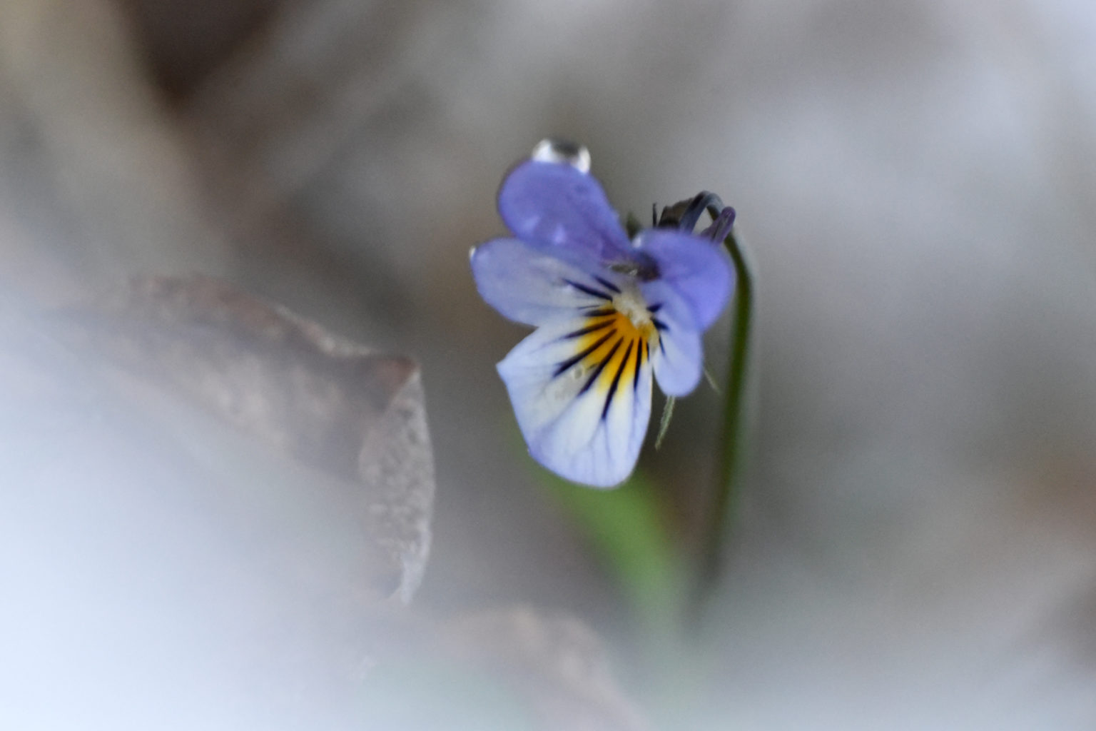 Valokuvaaja: Anu Tossavainen