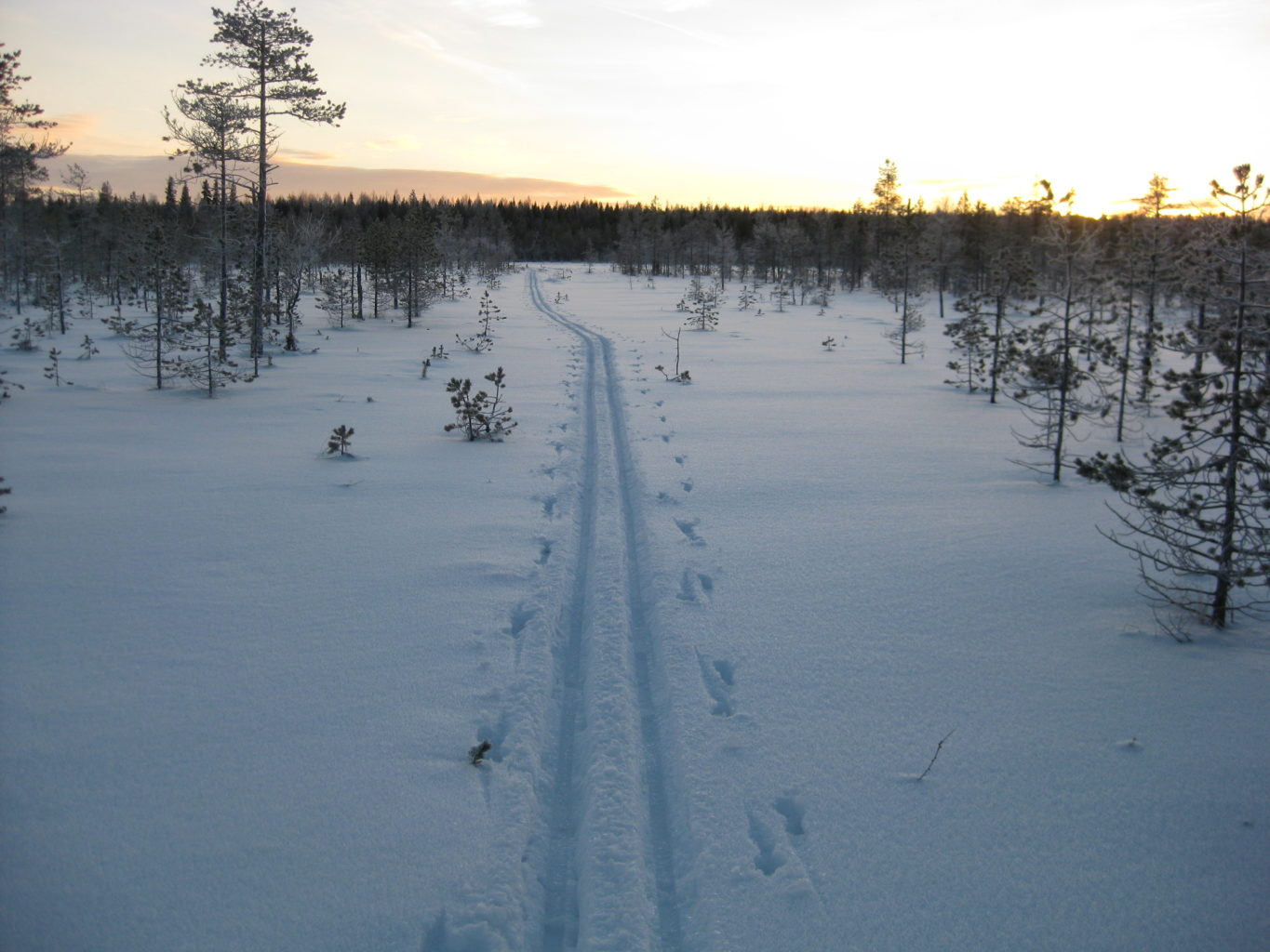 Valokuvaaja: yrjo lukkari