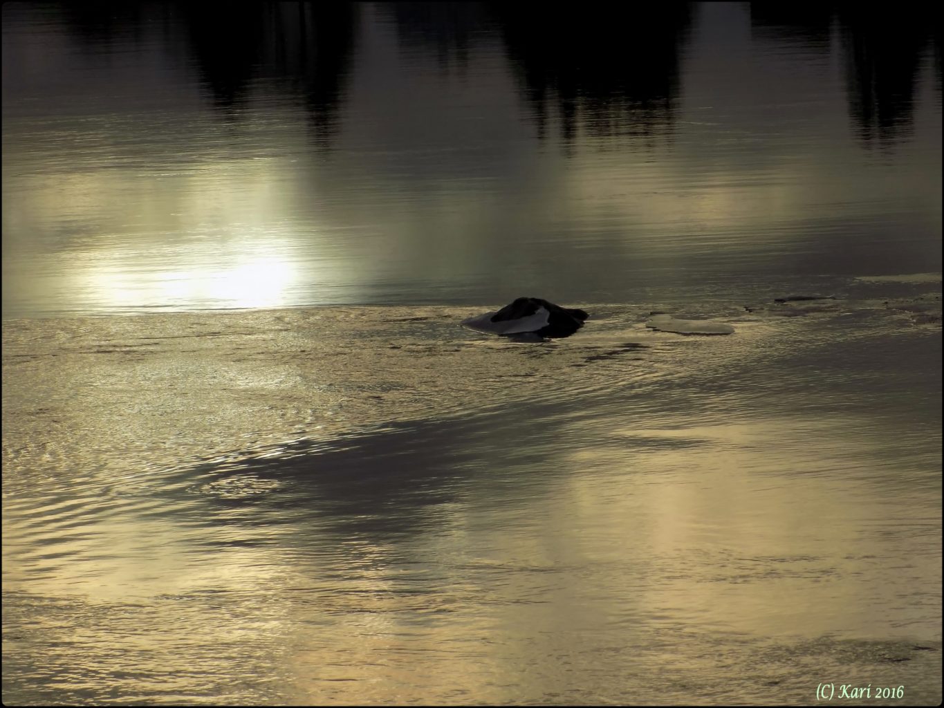 Valokuvaaja: Kari Saarinen