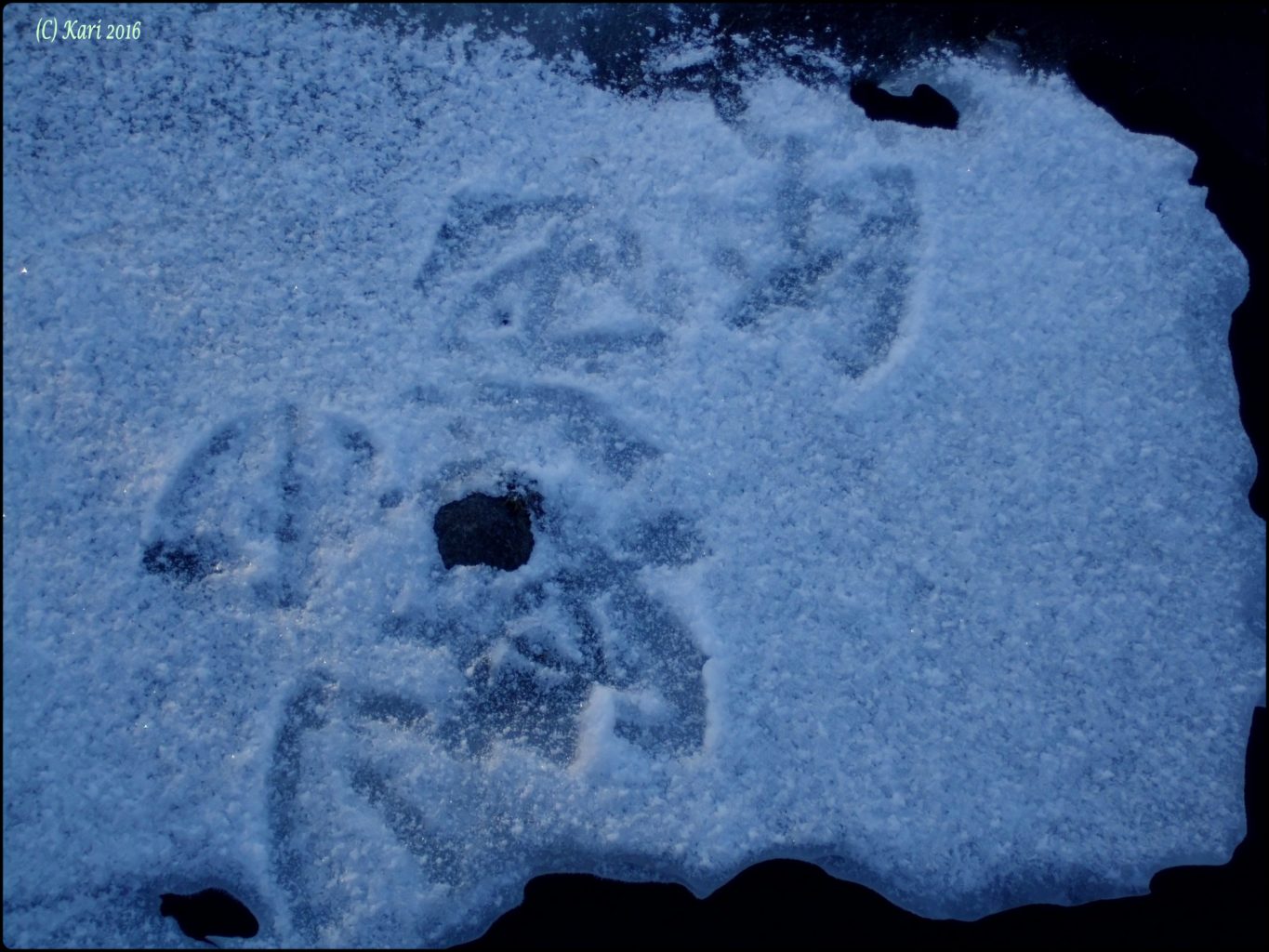 Valokuvaaja: Kari Saarinen