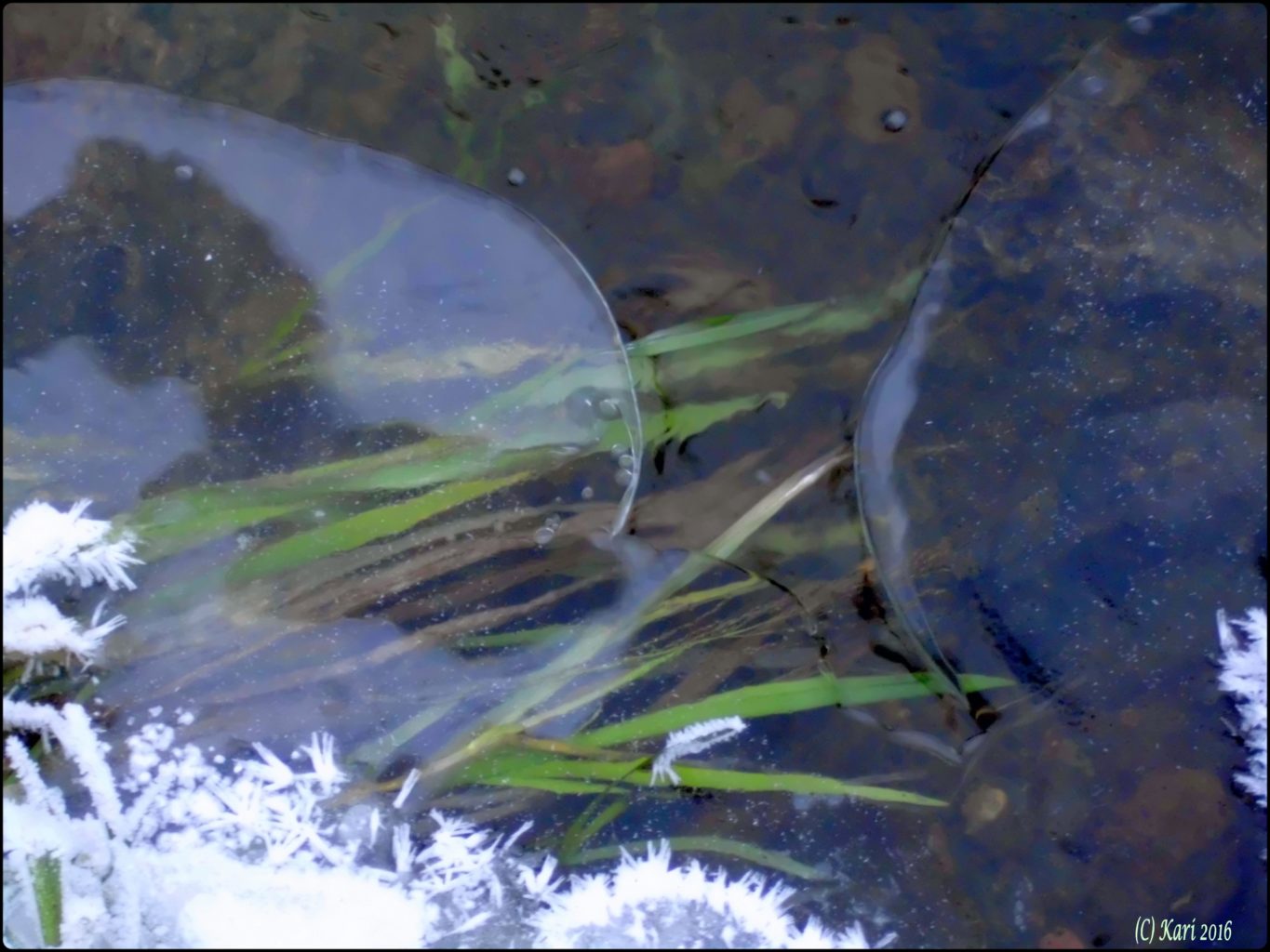 Valokuvaaja: Kari Saarinen Valokuvaaja: Kari Saarinen