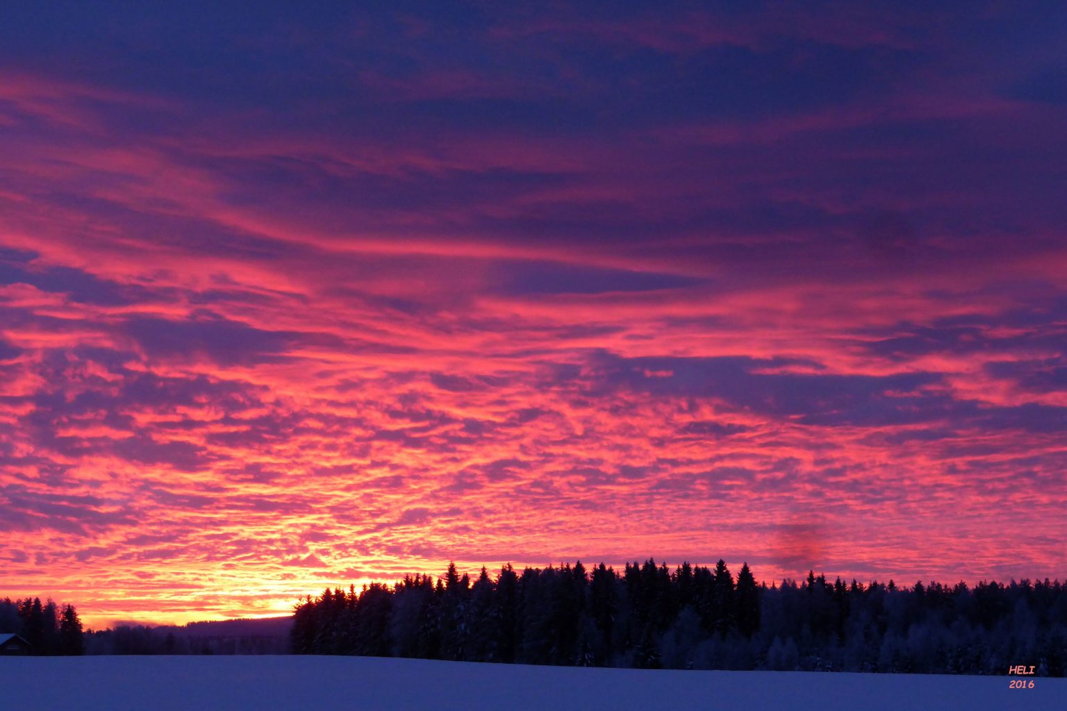Valokuvaaja: Heli Korhonen