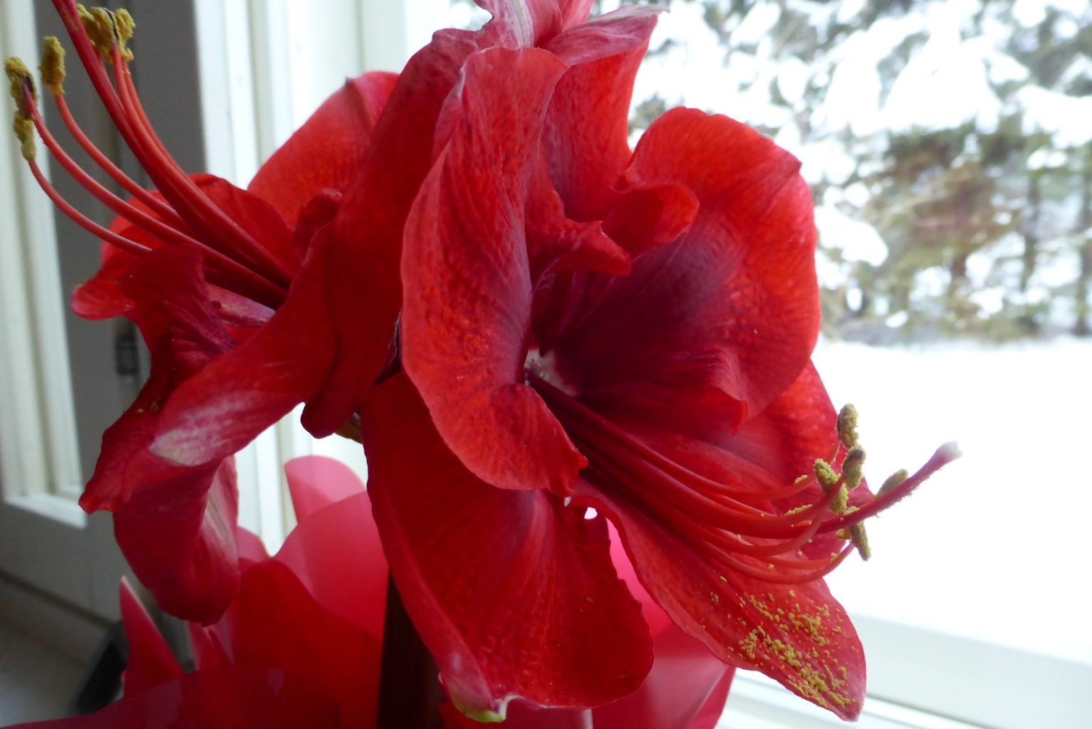 Valokuvaaja: Kalle Asikainen