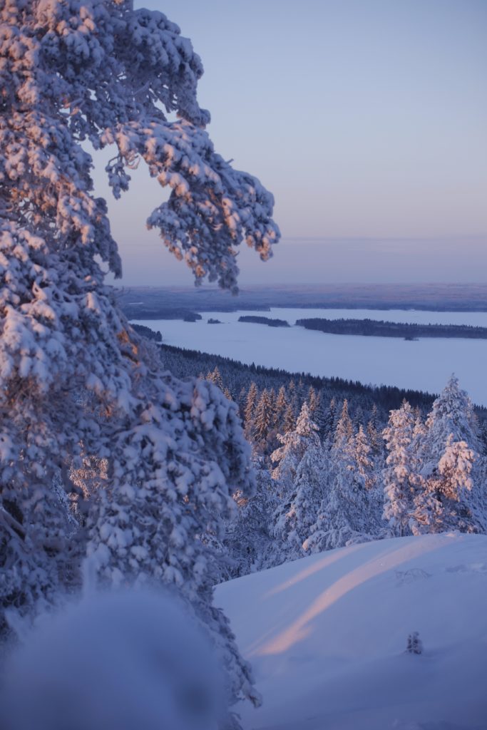Valokuvaaja: Anne Moilanen