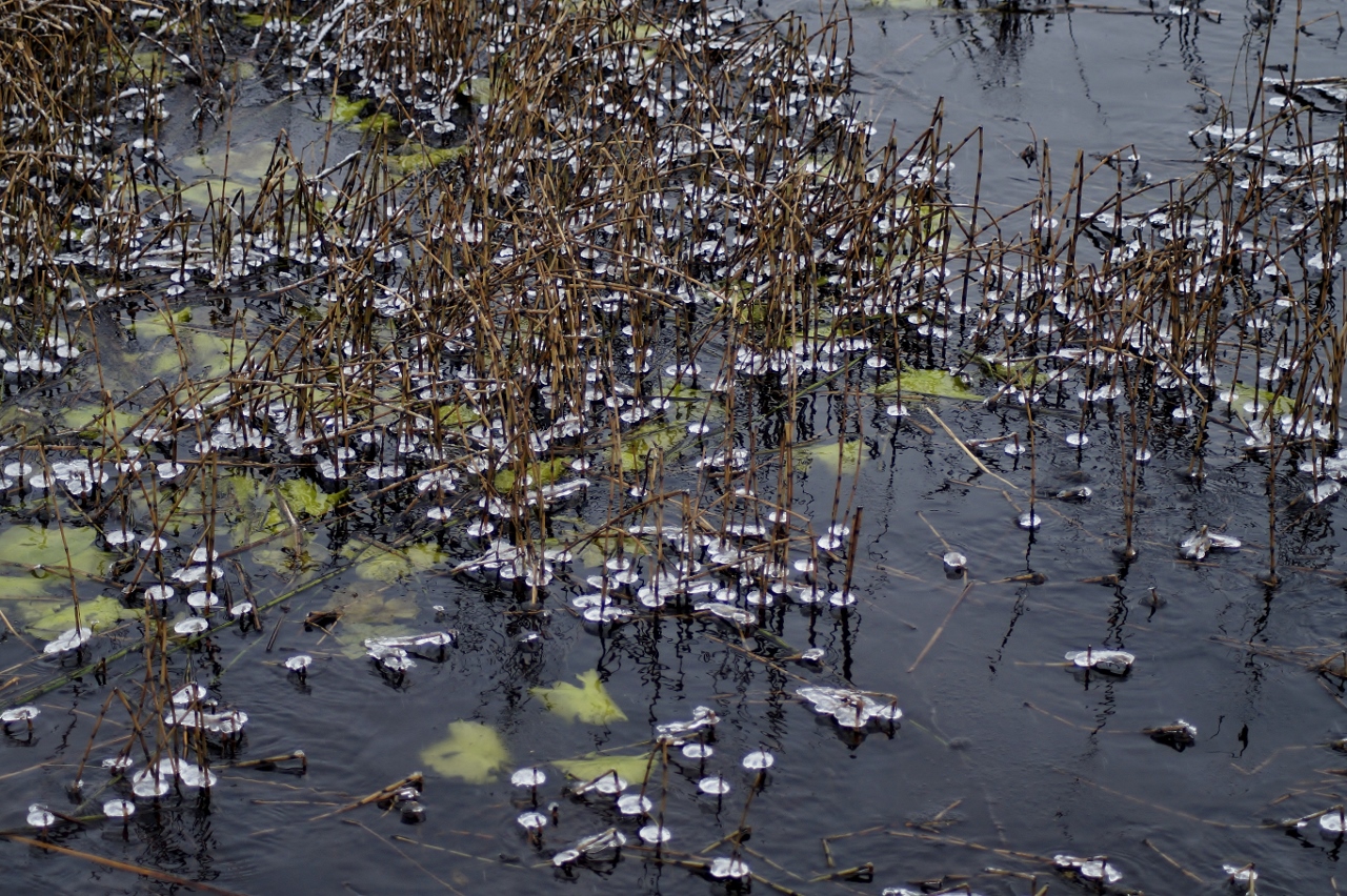 Valokuvaaja: Maarit Siitonen