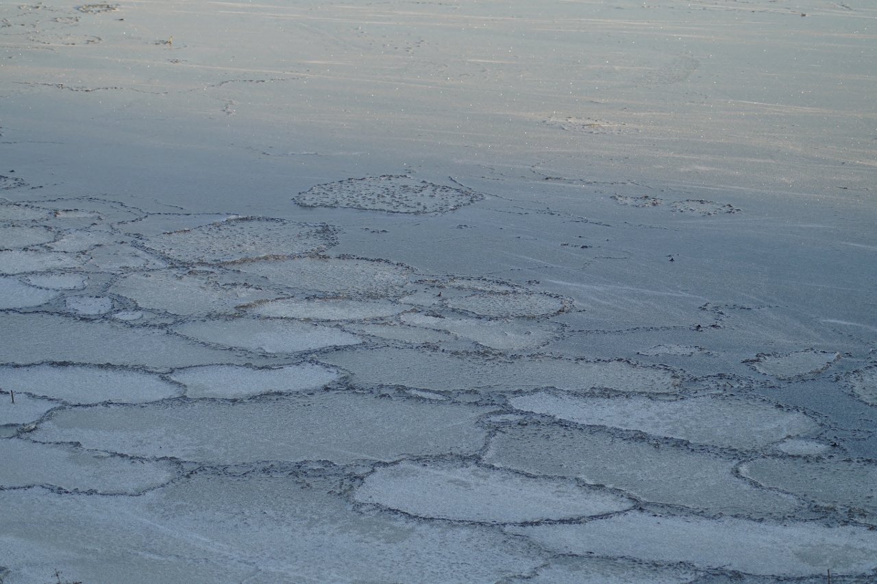 Valokuvaaja: Maarit Siitonen