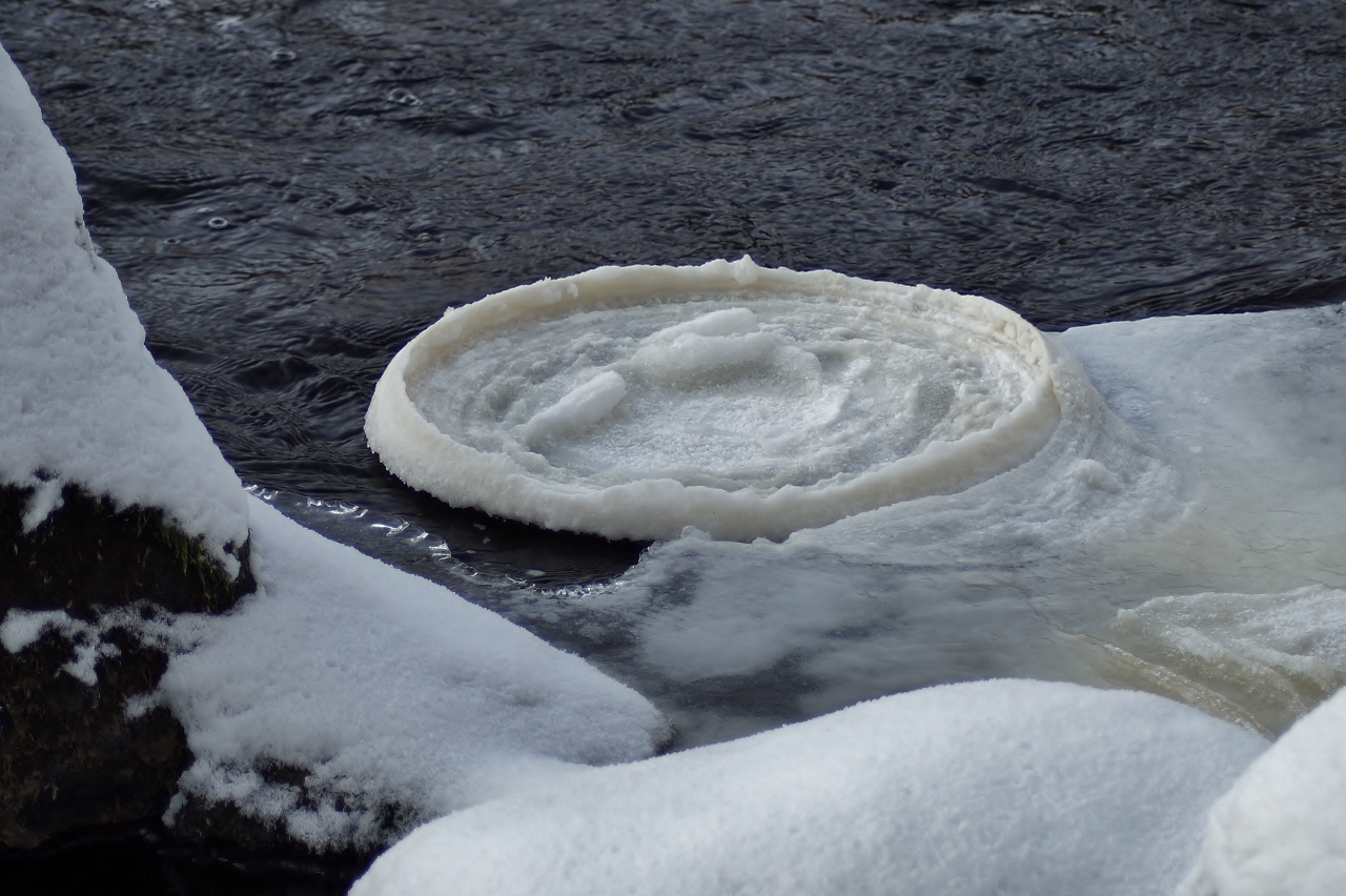 Valokuvaaja: Maarit Siitonen