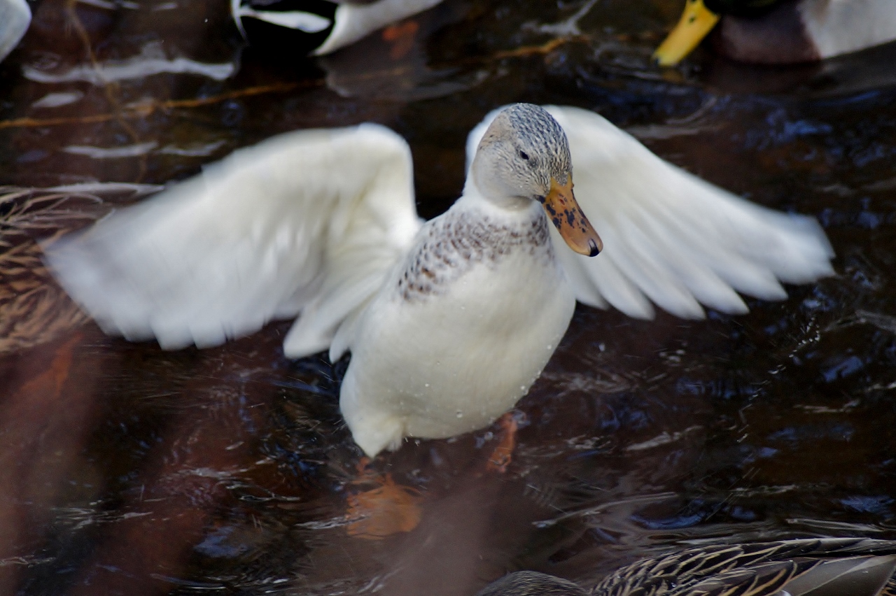 Valokuvaaja: Maarit Siitonen